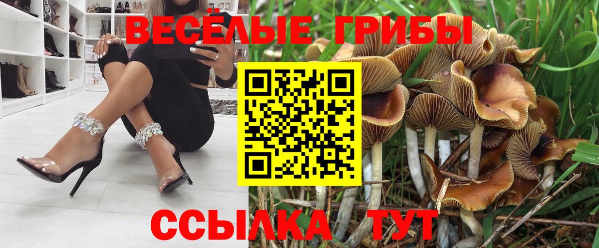 Галлюциногенные грибы Psilocybe Анапа