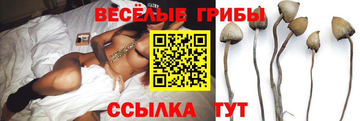Анапа  Галлюциногенные грибы Psilocybe  как найти закладки  Вход с VPN 